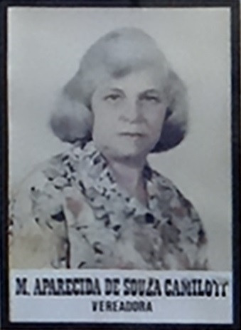 Maria Aparecida de Souza Camilotti